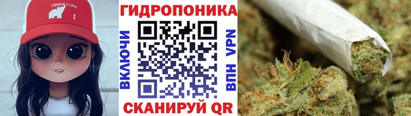 Конопля Amnesia  Кодинск 